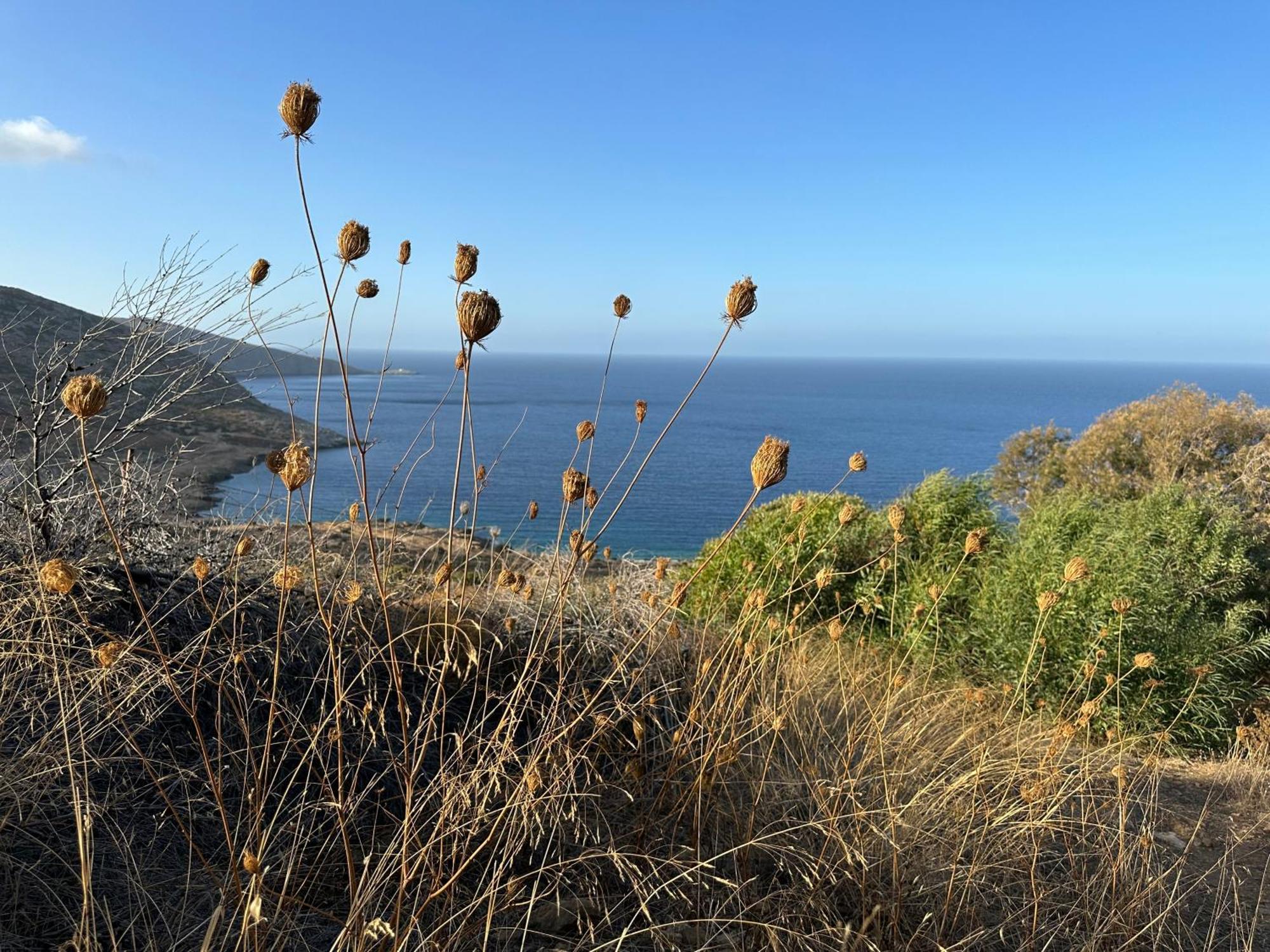Maison Meltem Agia Pelagia 외부 사진