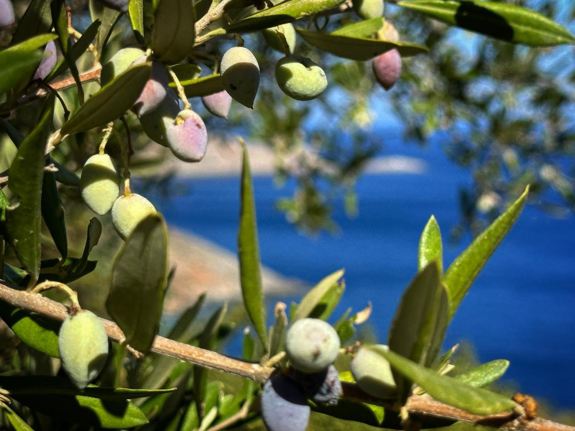 Maison Meltem Agia Pelagia 외부 사진
